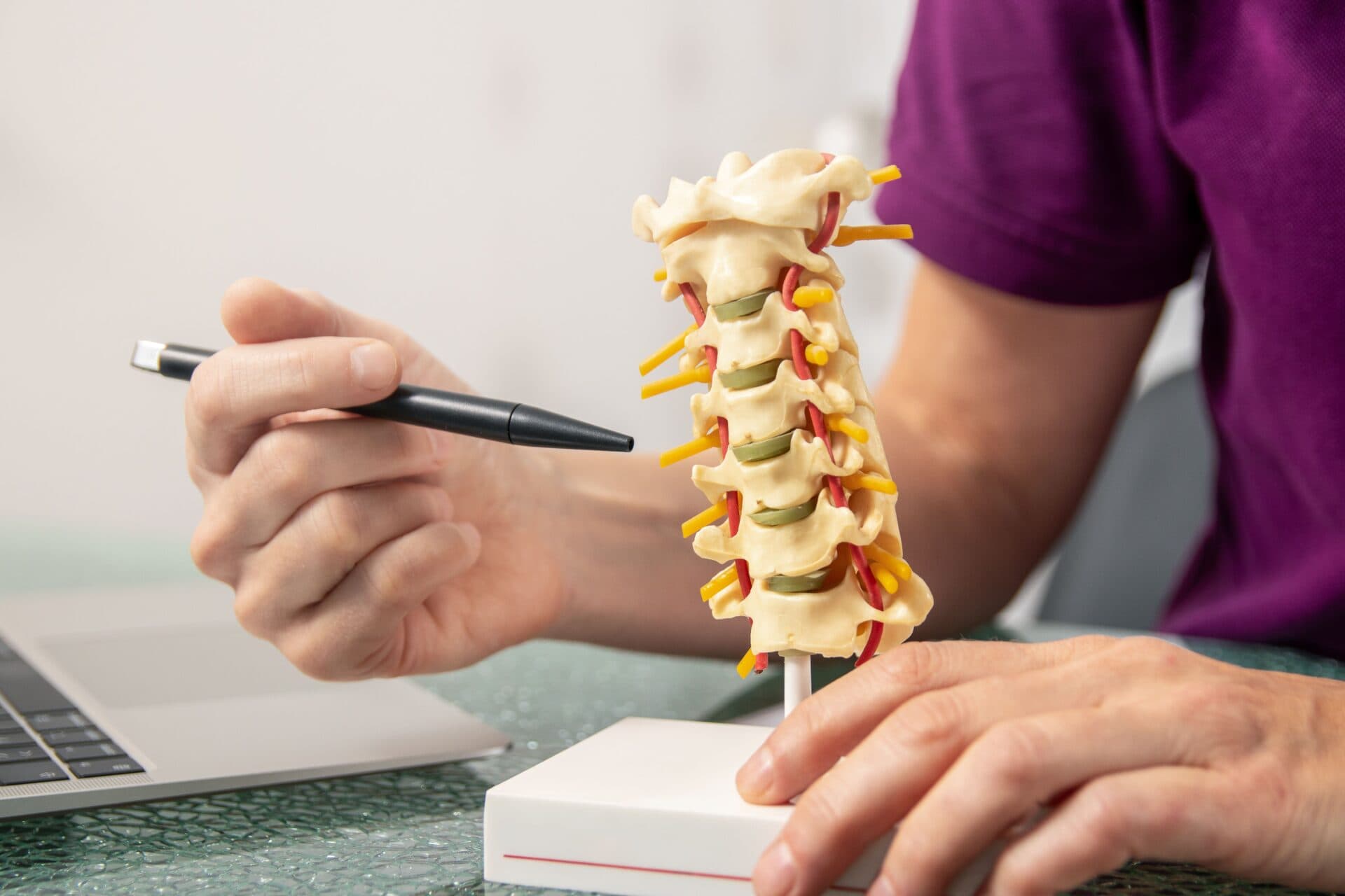 Chiropractor explaining a spine model during a consultation